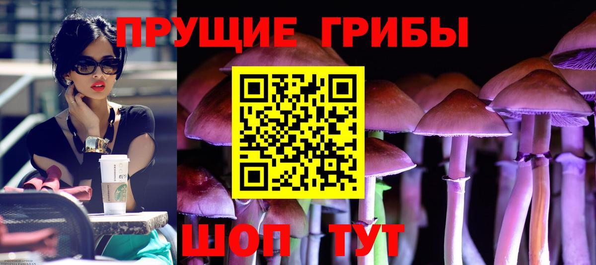Вичуга  Галлюциногенные грибы мицелий  Вход с VPN  Галлюциногенные грибы Psilocybine cubensis 